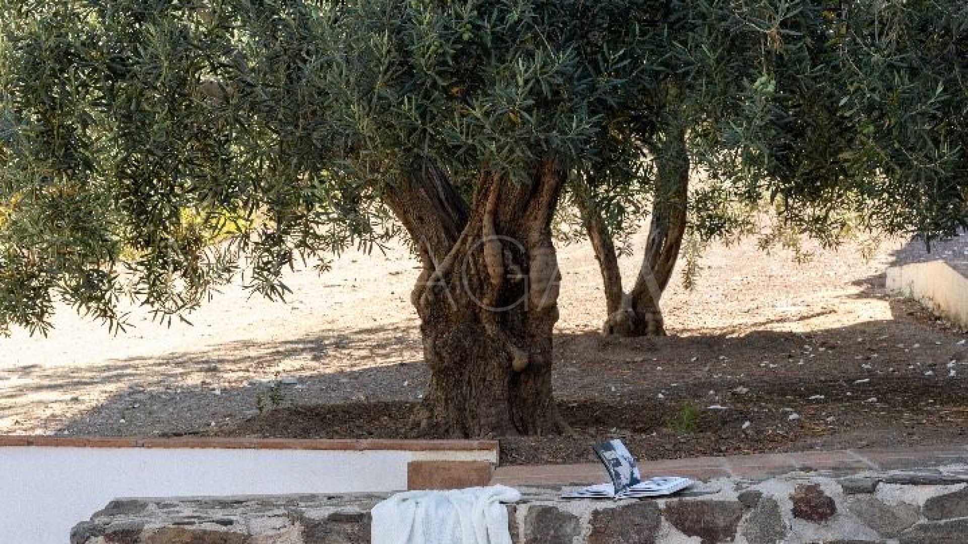 Ferme for sale in Malaga