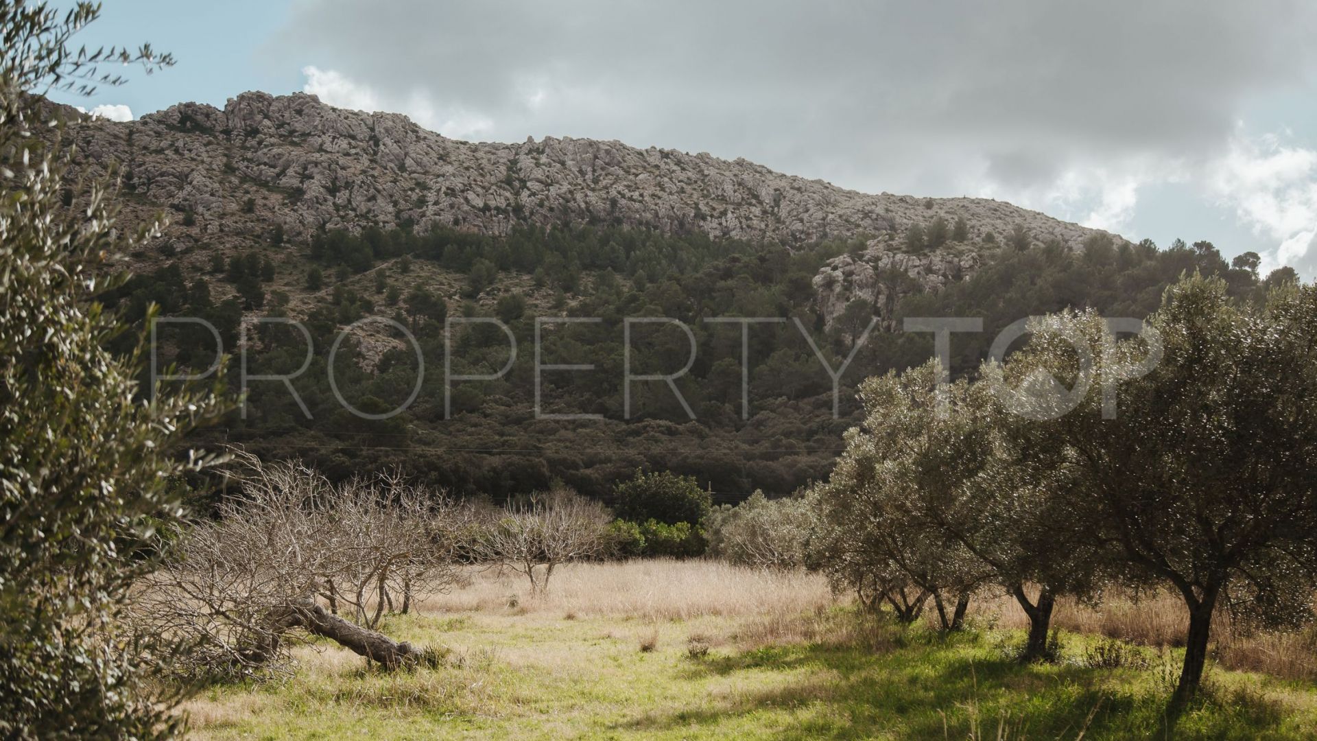 Se vende finca en Pollença