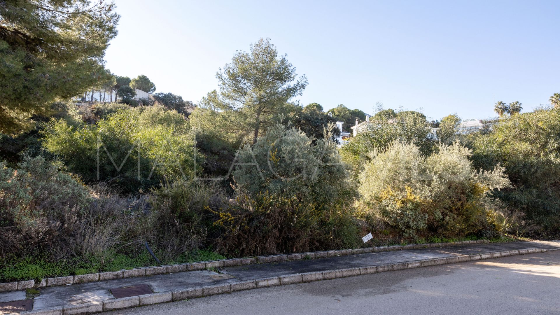 Buy parcela in Alhaurin el Grande