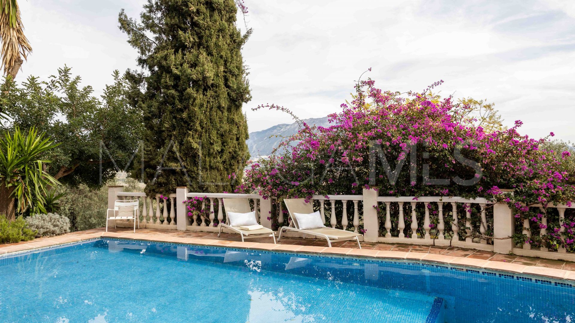 Buy 31 bedrooms unique building in Viñuela