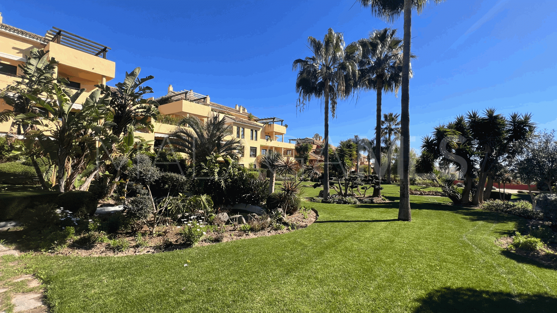 Buy duplex penthouse with 4 bedrooms in Estepona East