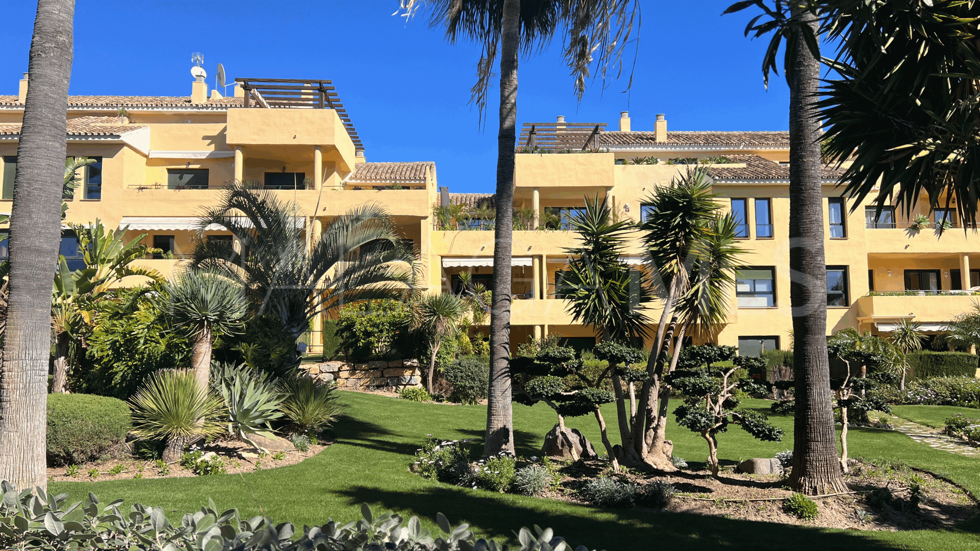 Buy duplex penthouse with 4 bedrooms in Estepona East