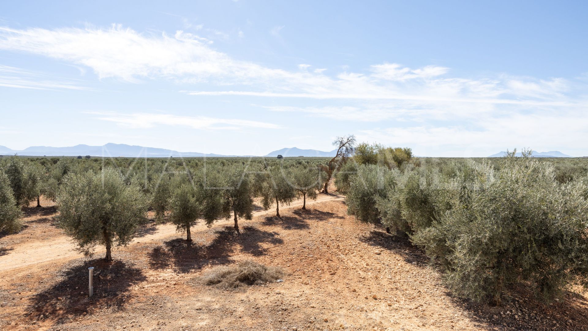 Se vende casa de campo in Antequera