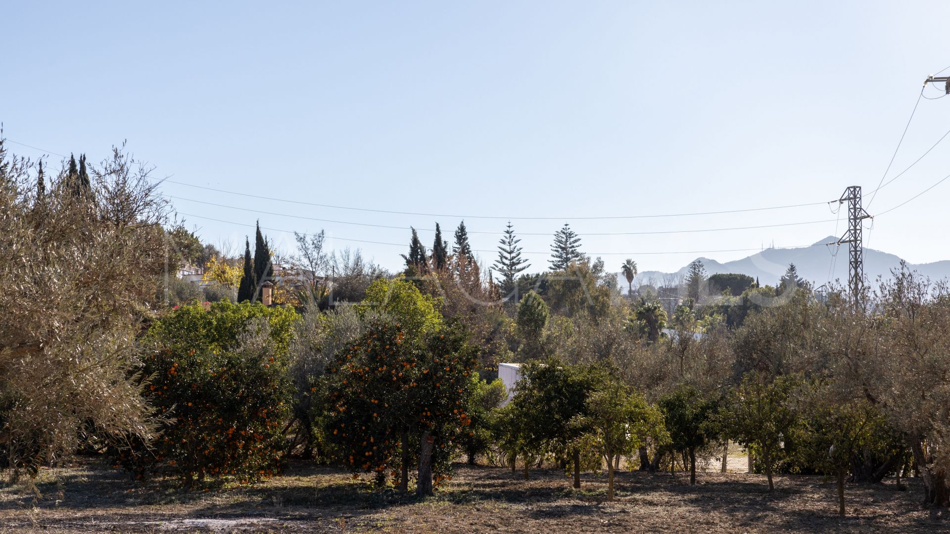 Finca for sale in Alhaurin de la Torre