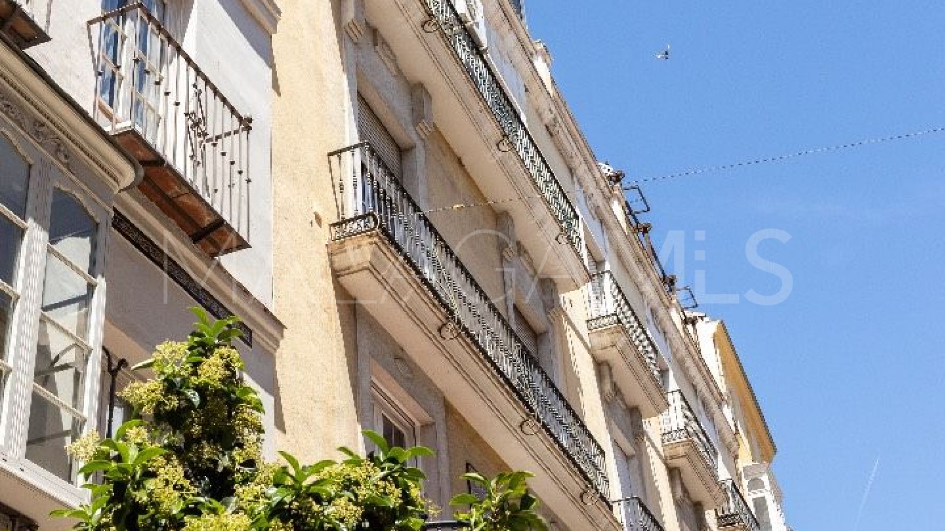 Buy apartamento in Malaga de 3 bedrooms