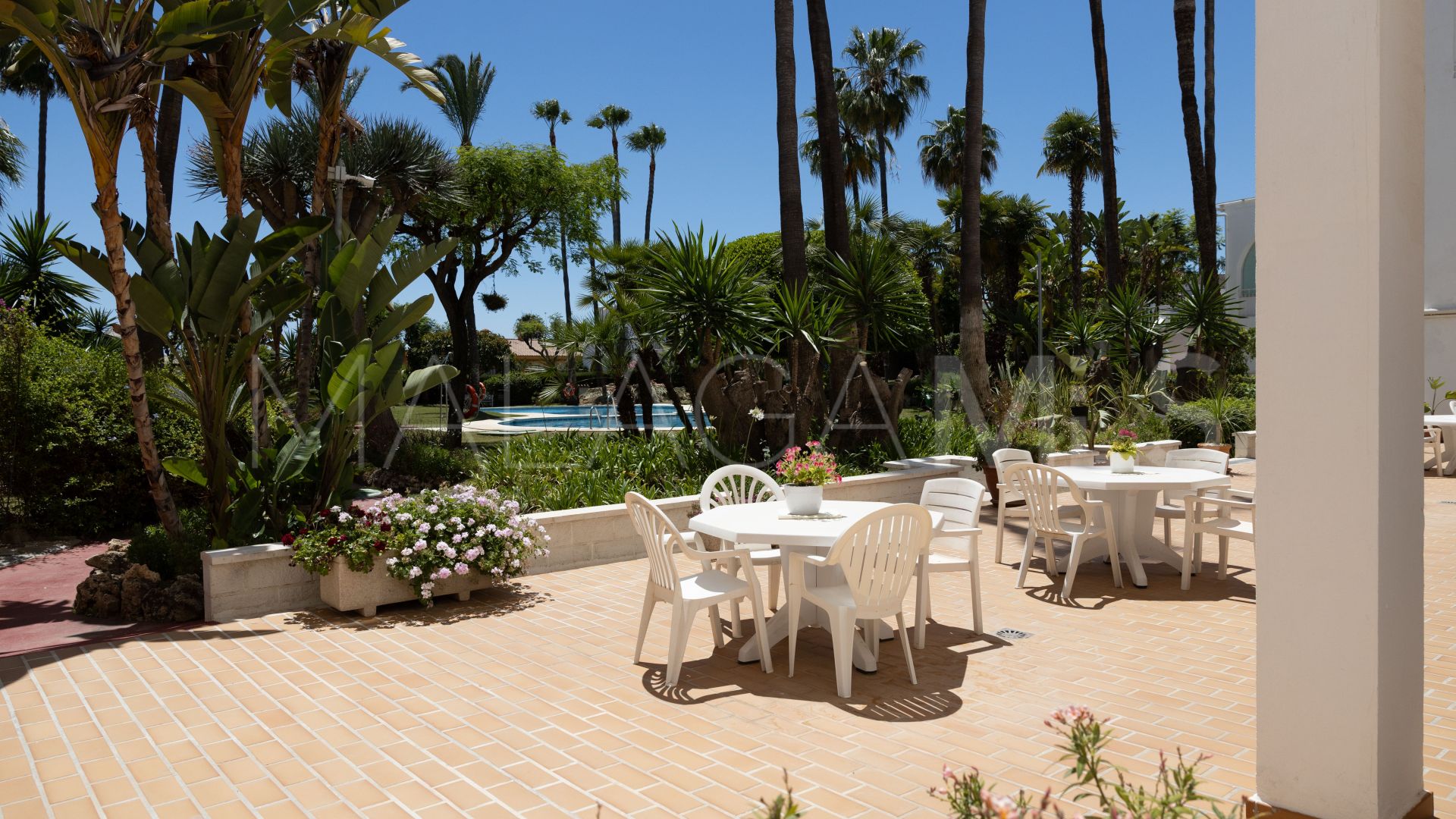 Apartamento planta baja for sale with 1 bedroom in Estepona Este