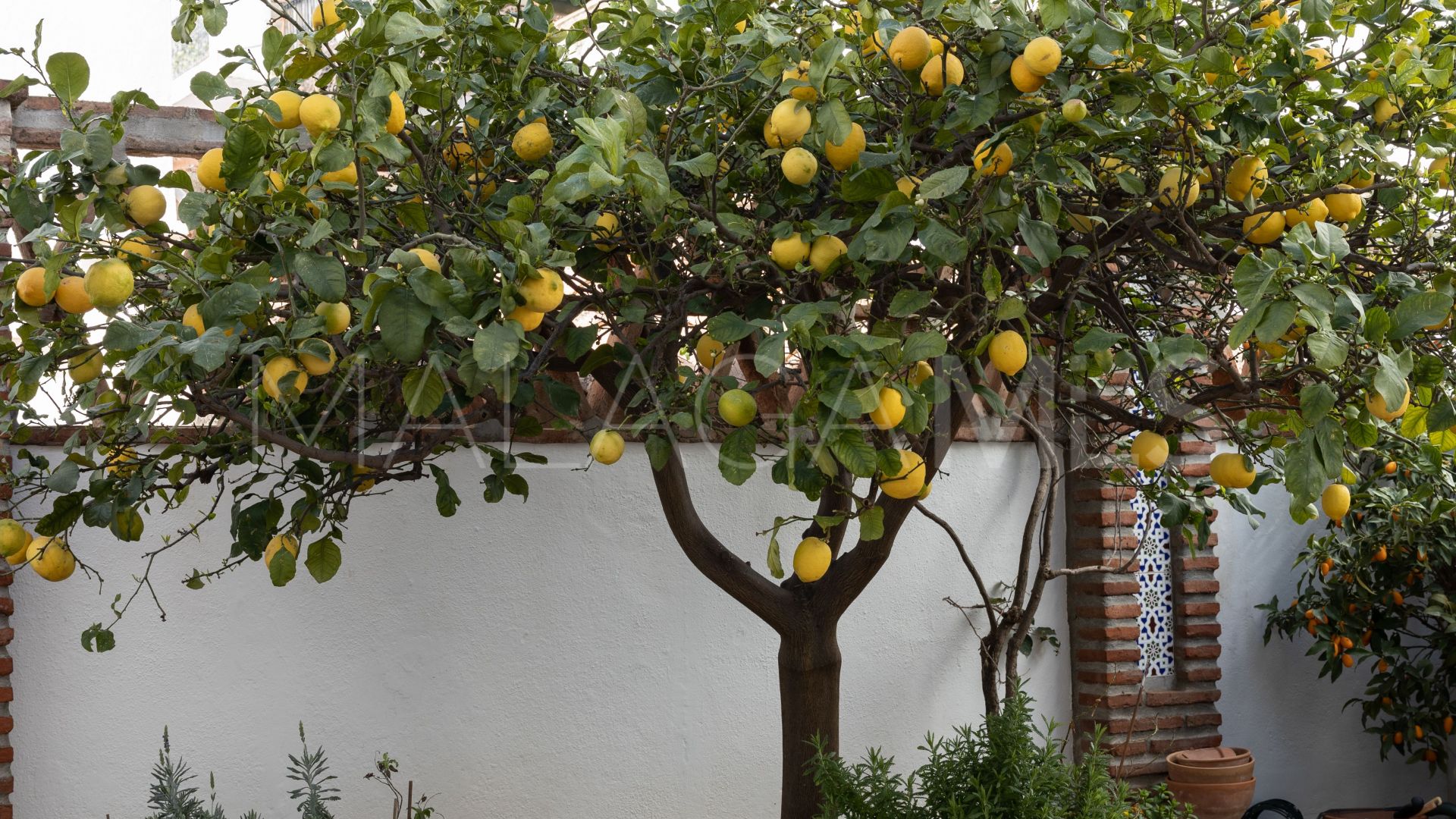 Maison de ville for sale in Mijas Pueblo