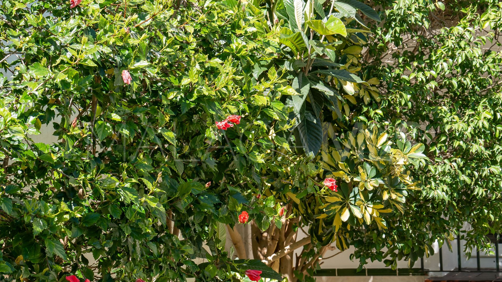 Wohnung for sale in Fuengirola