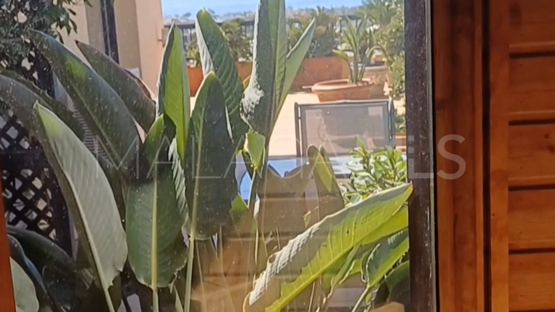 Appartement terrasse for sale in San Pedro de Alcantara
