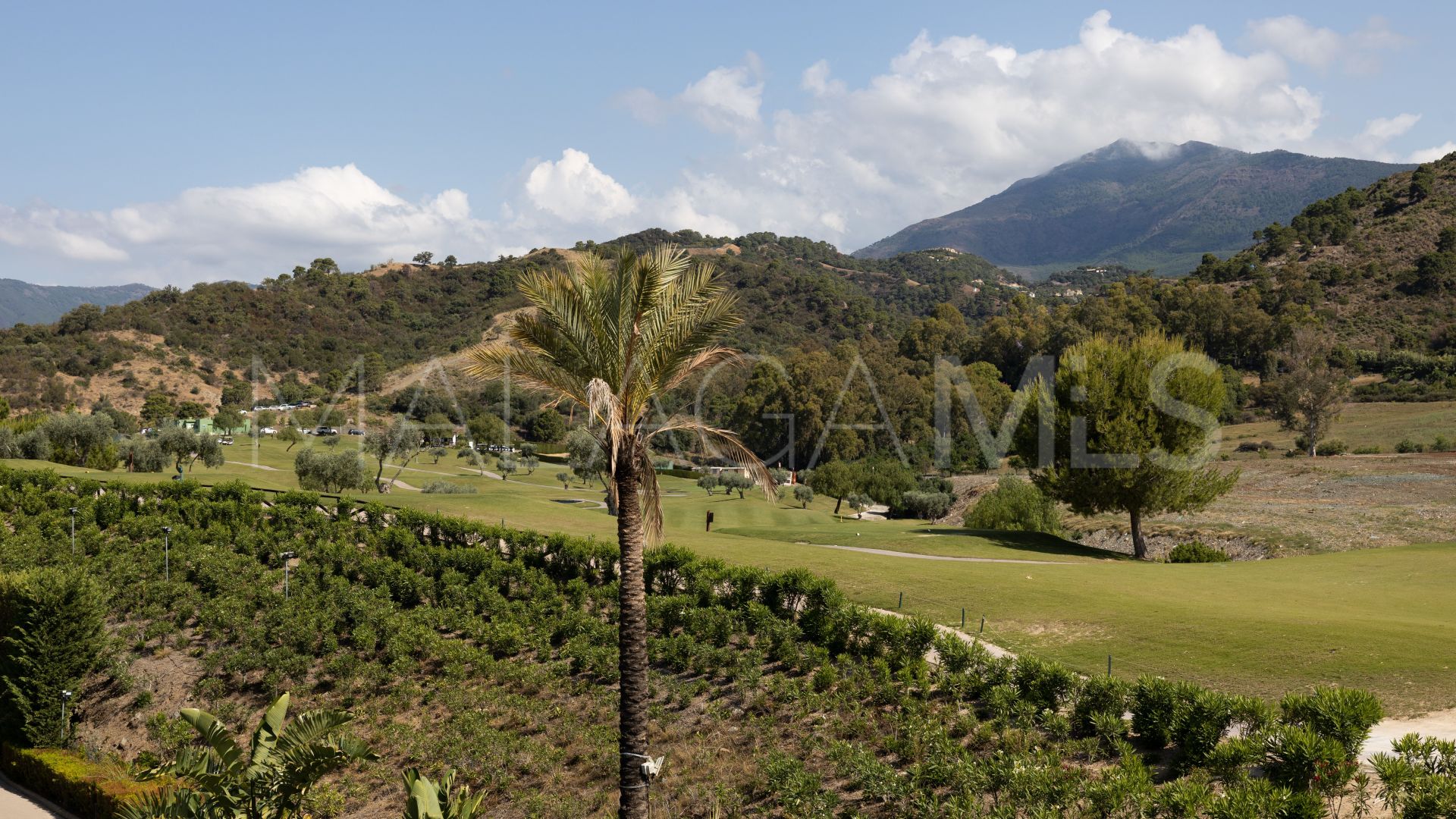 Duplex penthouse for sale in Benahavis