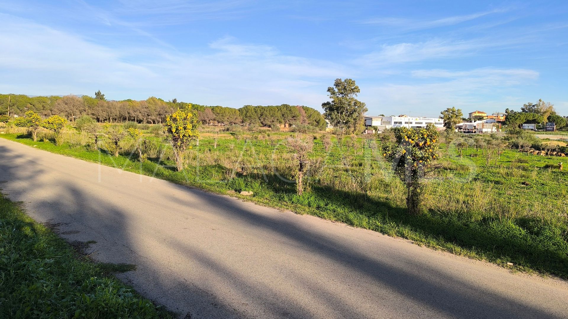 El Romeral, parcela a la venta