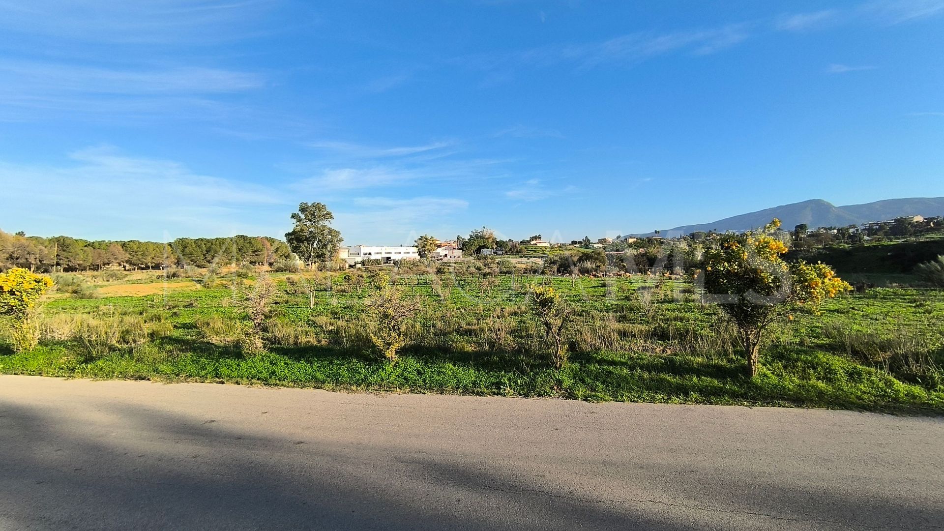 El Romeral, parcela a la venta