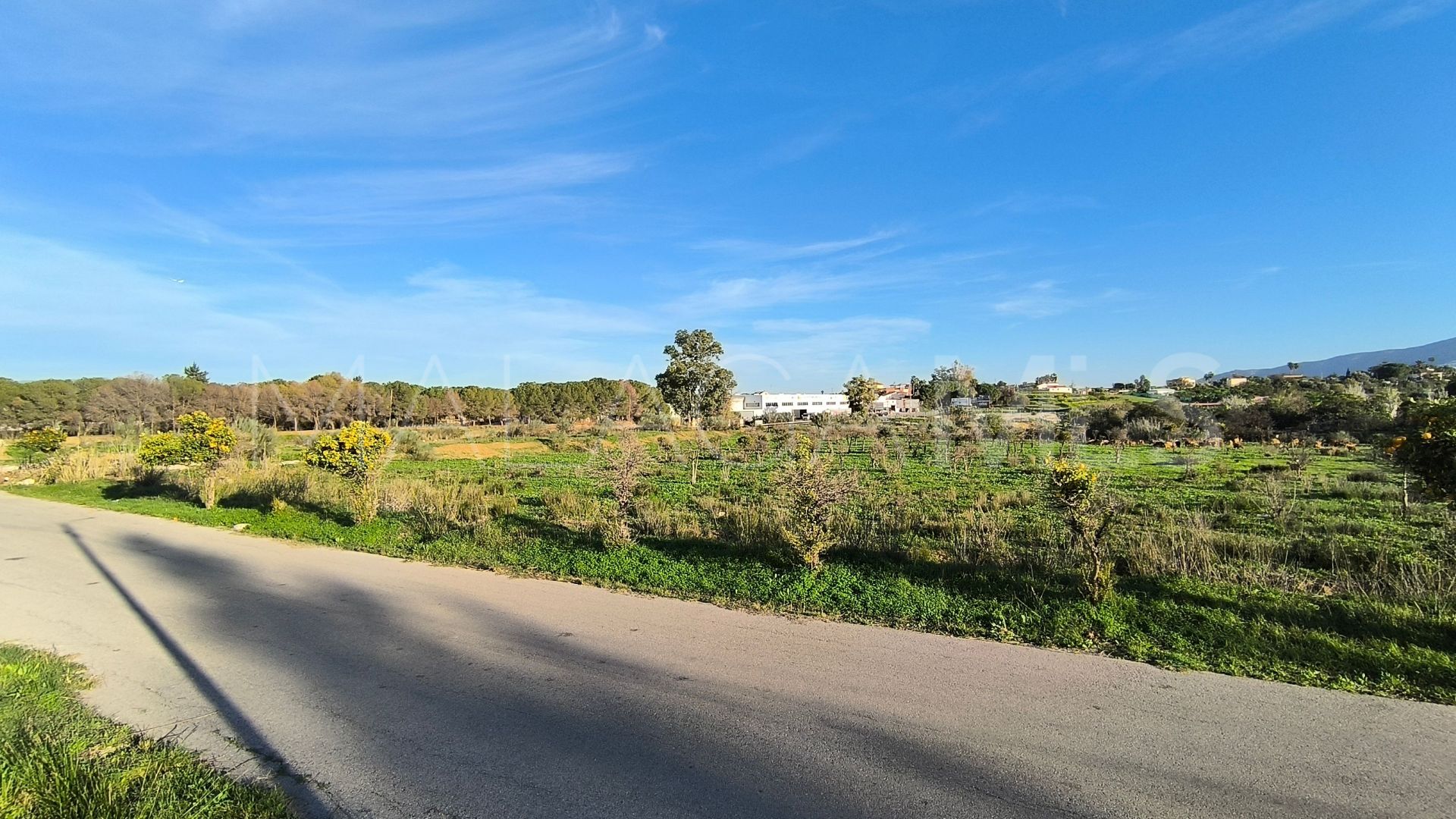 El Romeral, parcela a la venta