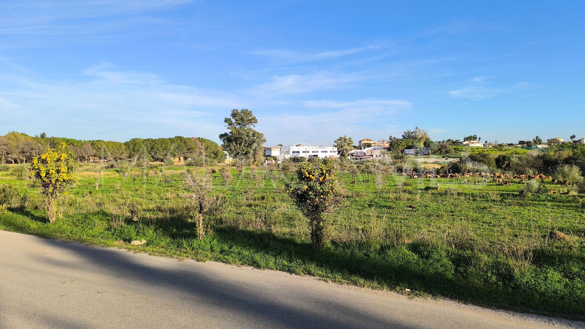 El Romeral, parcela a la venta