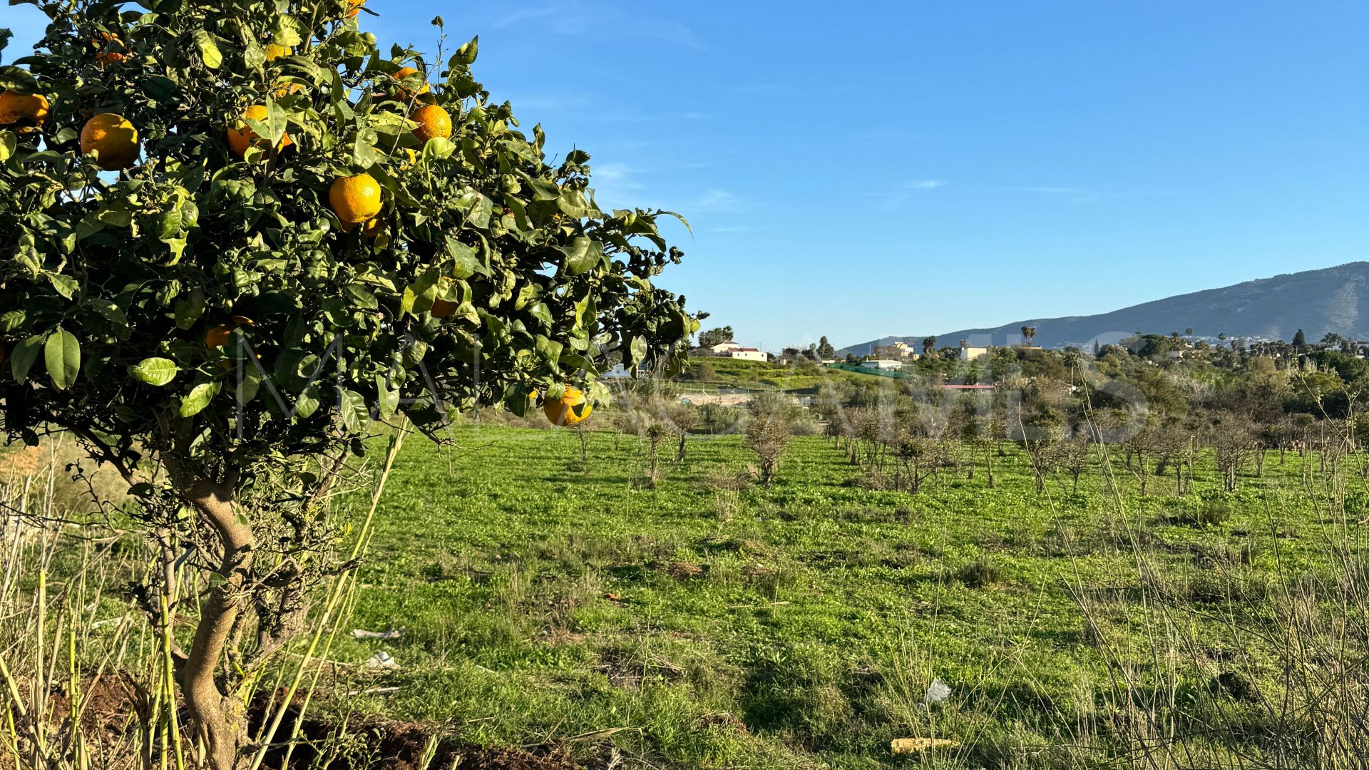 El Romeral, parcela a la venta