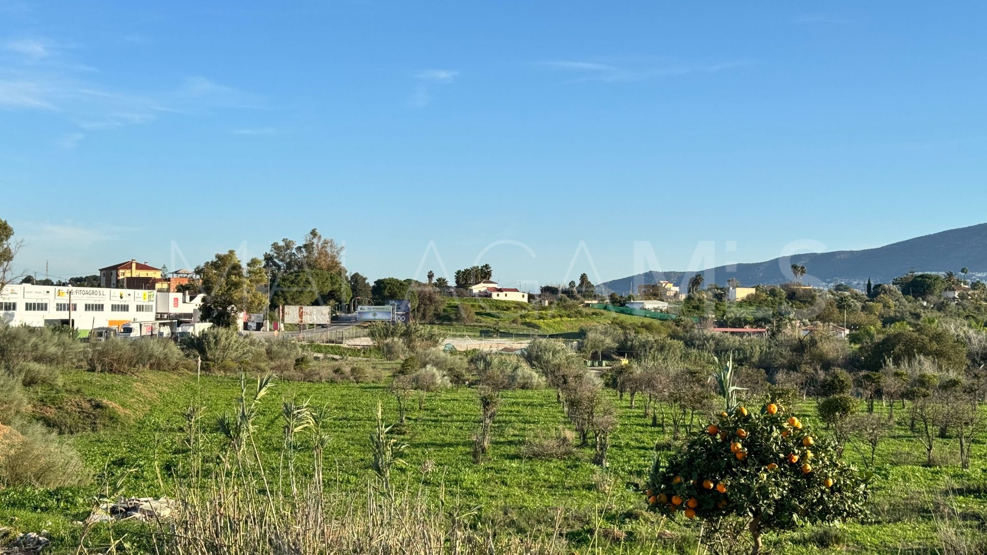 El Romeral, parcela a la venta