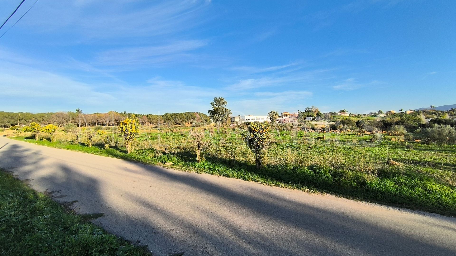 El Romeral, parcela a la venta