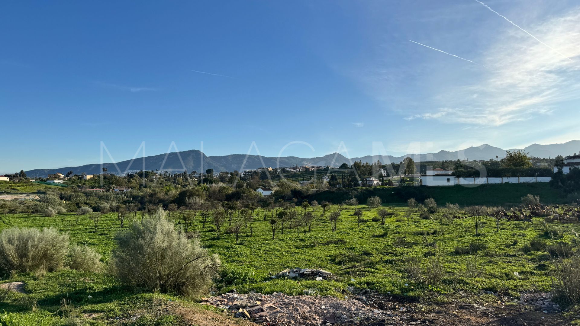 El Romeral, parcela a la venta