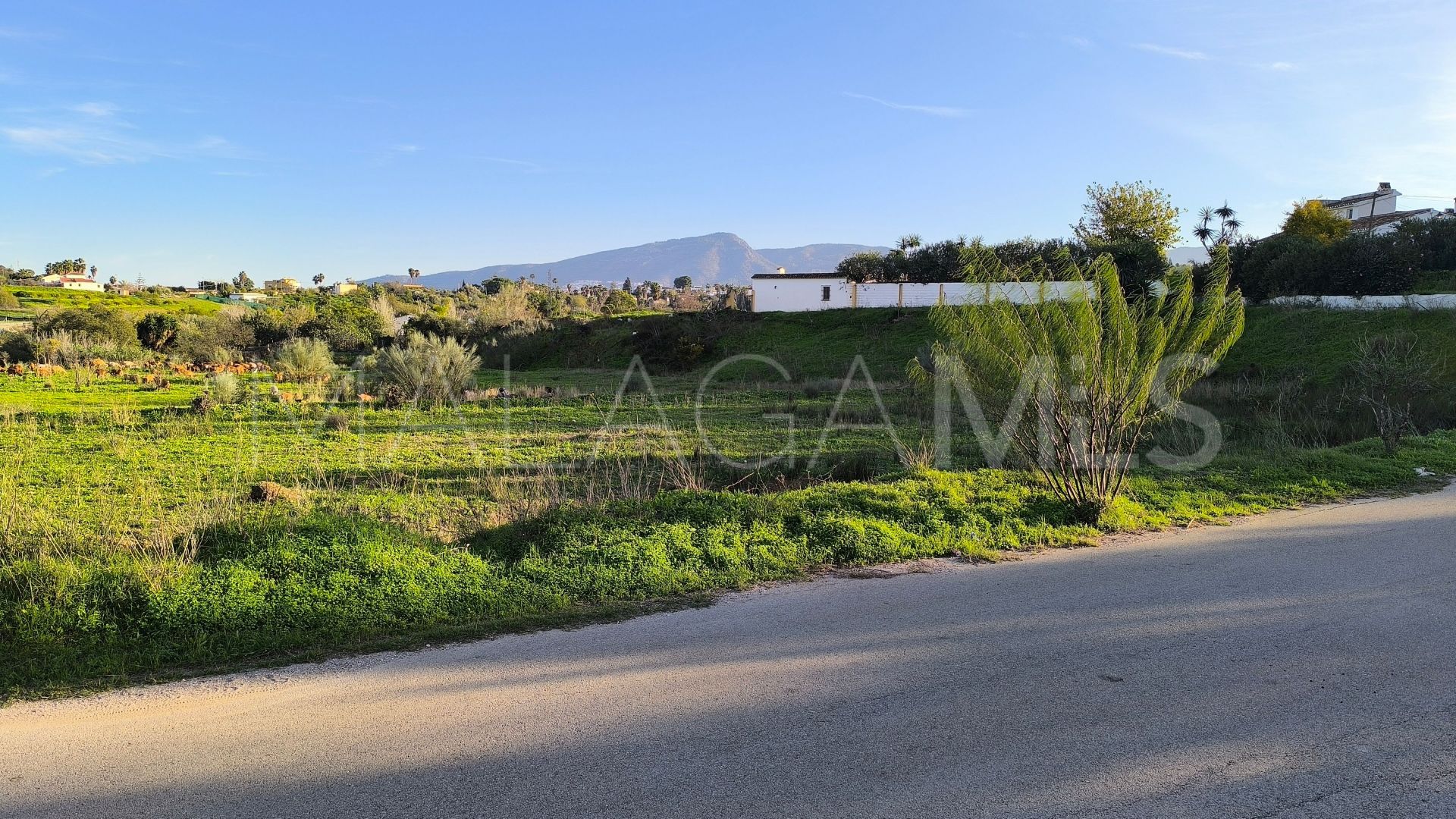 El Romeral, parcela a la venta