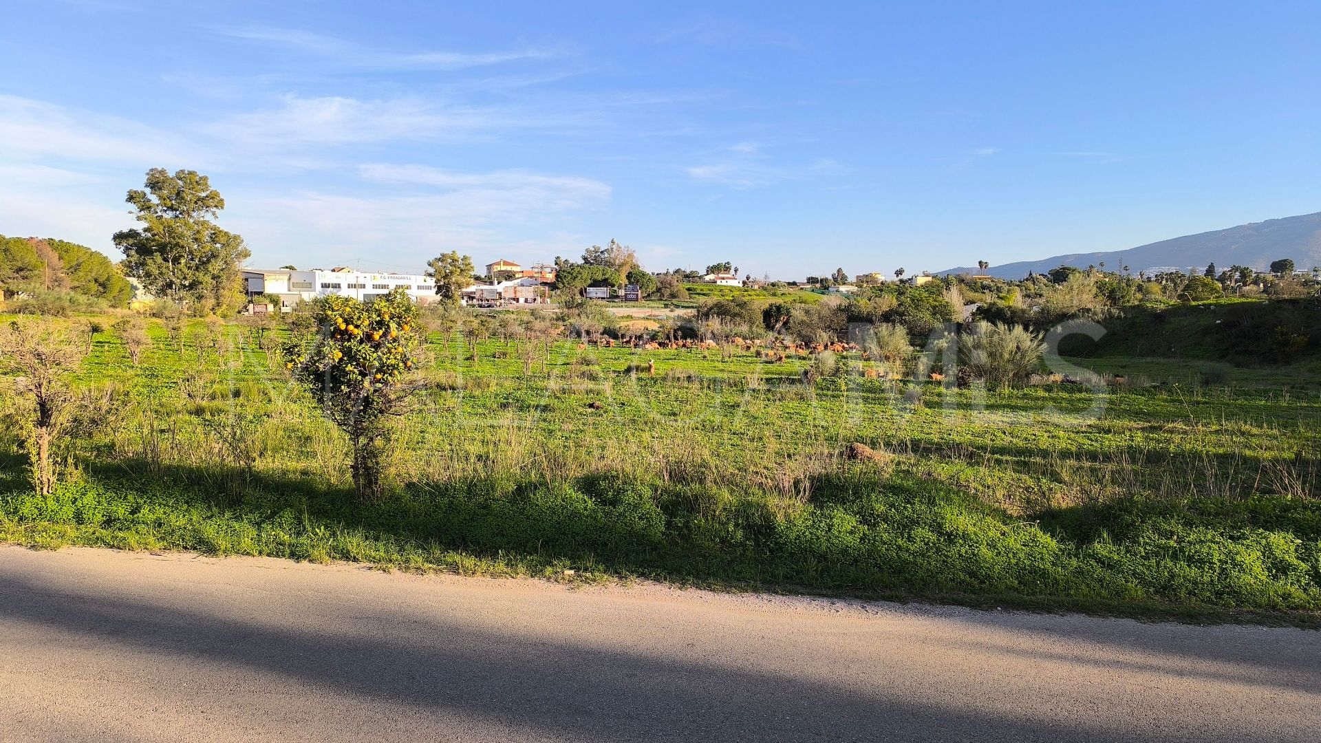 El Romeral, parcela a la venta