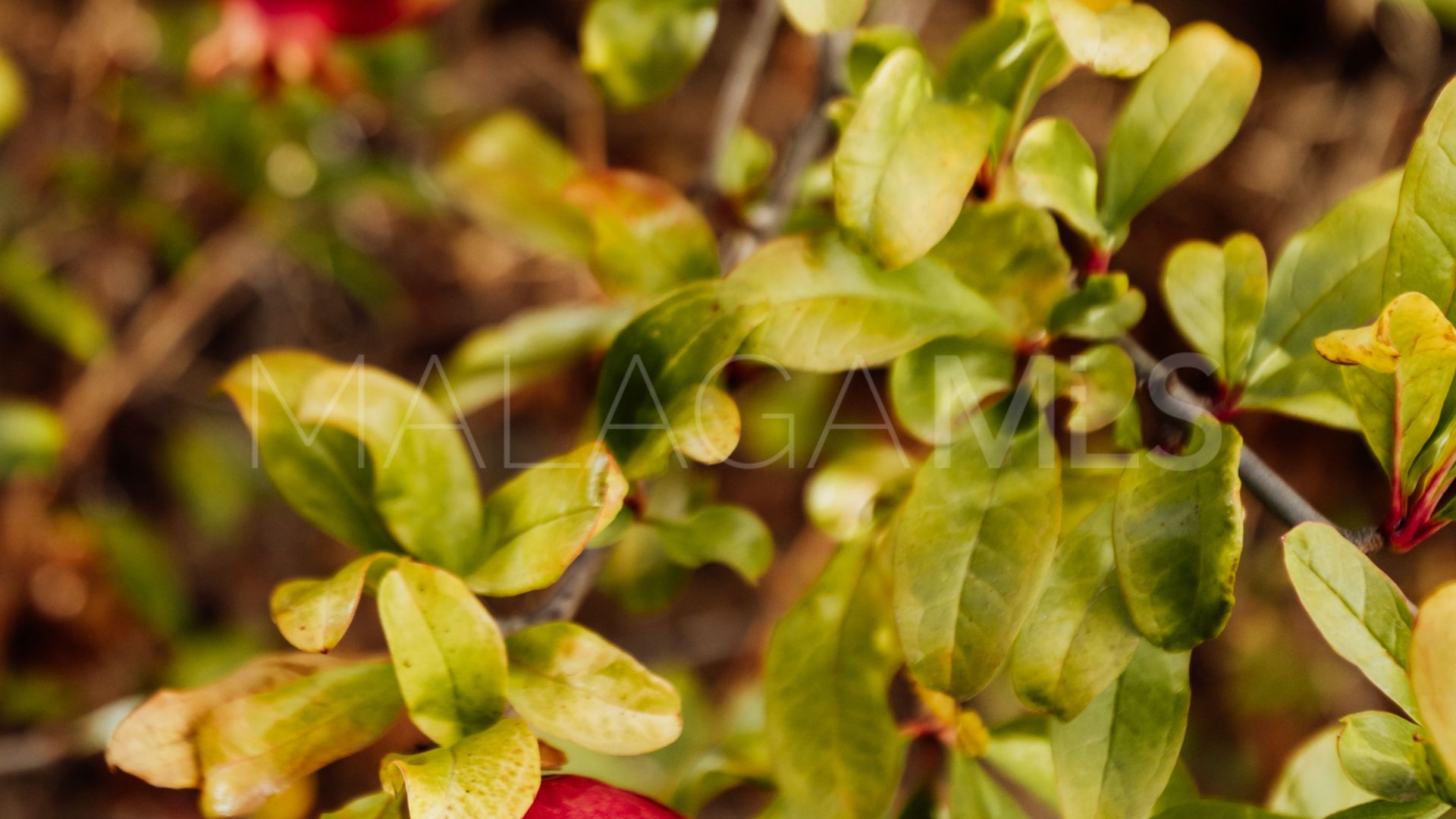 Casa for sale in Malaga - Este