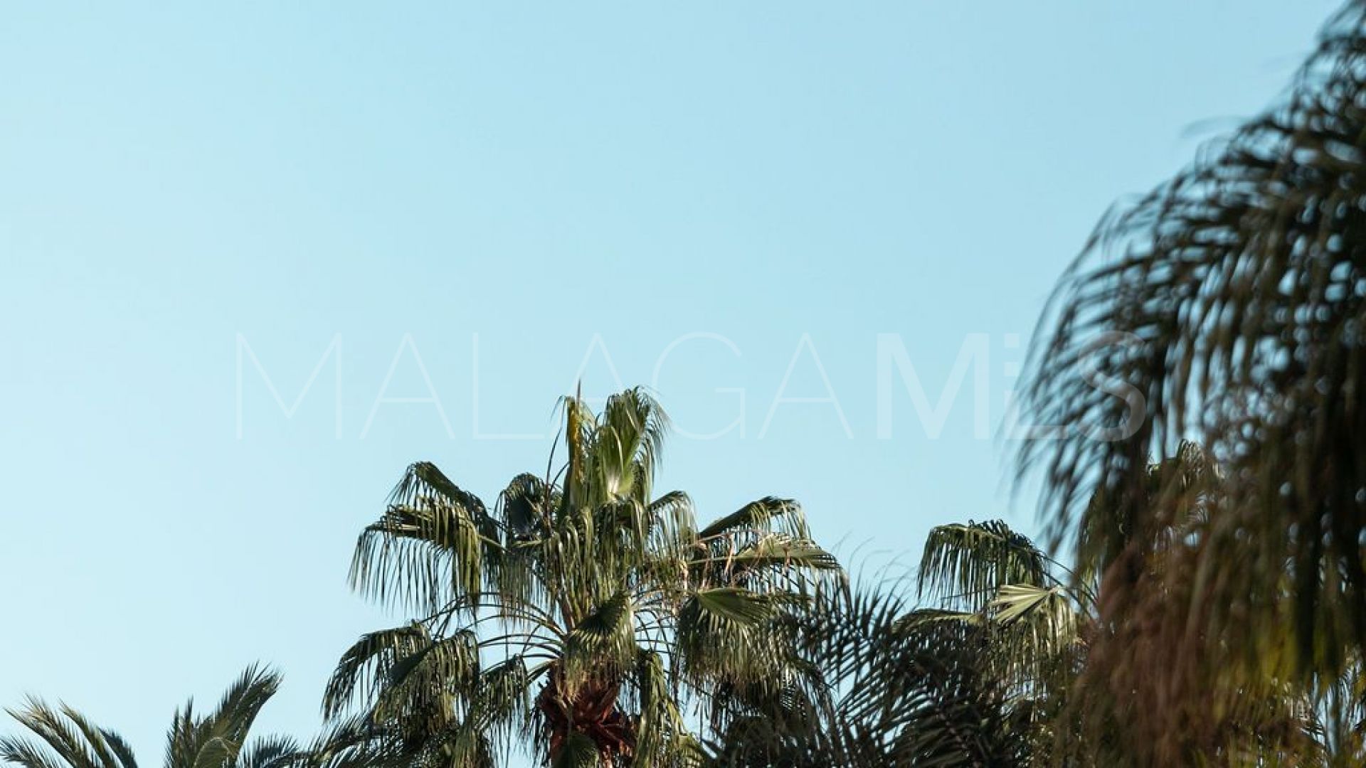 1 bedroom Bajondillo penthouse for sale