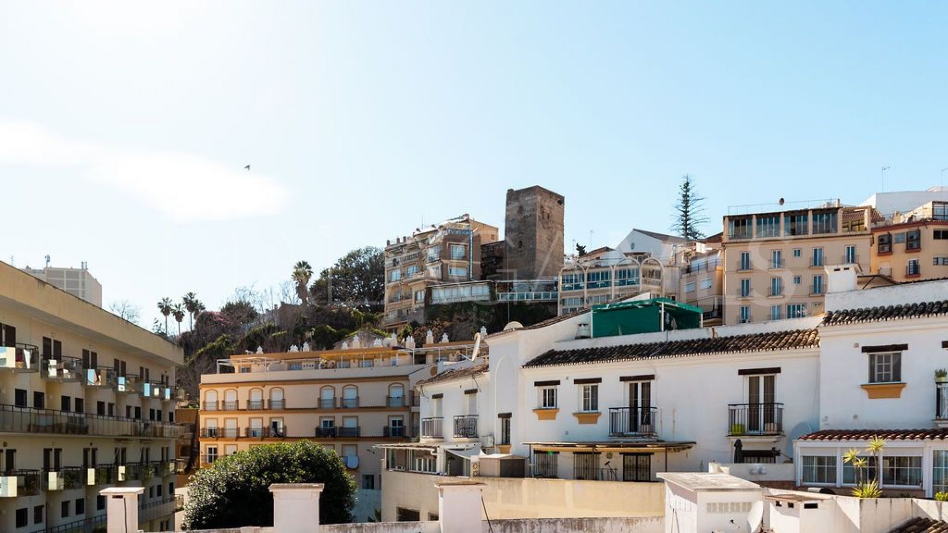 1 bedroom Bajondillo penthouse for sale
