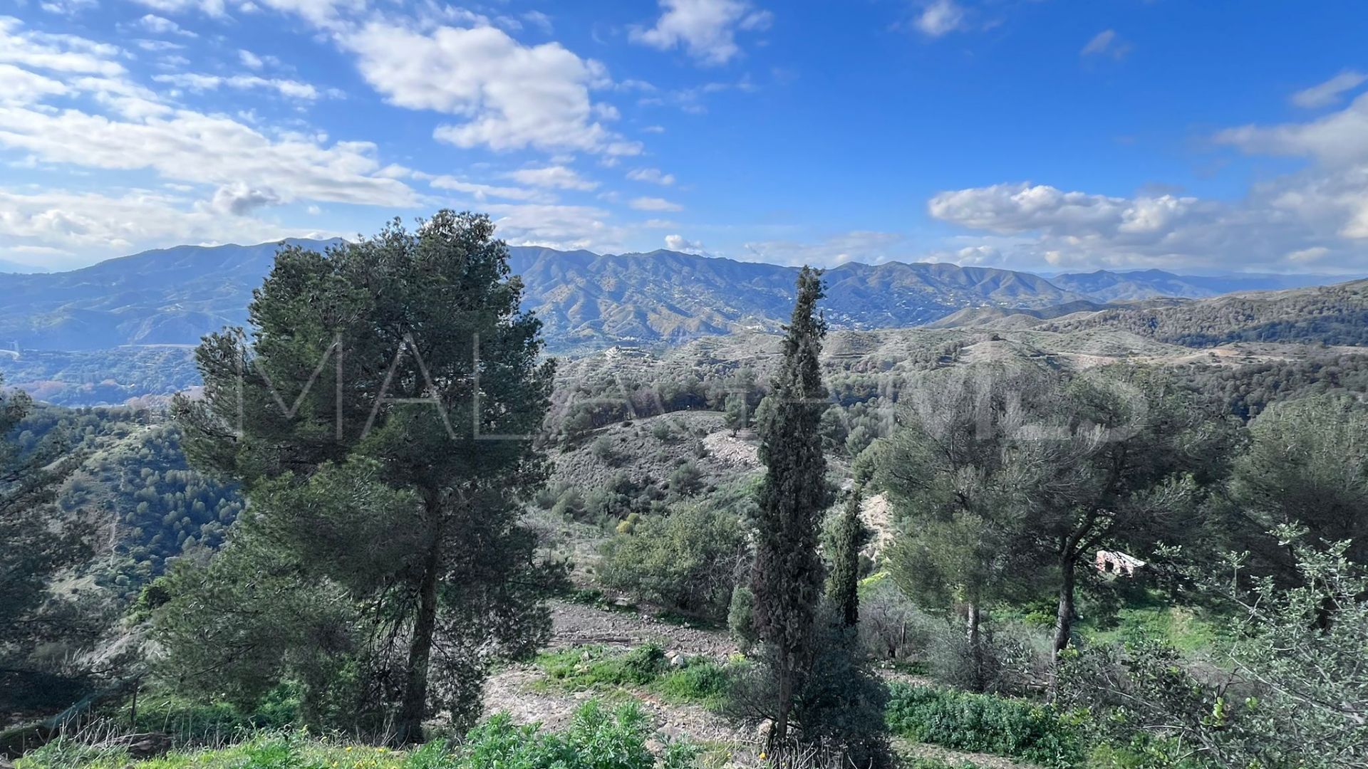 Restaurant for sale in Malaga - Ciudad Jardín
