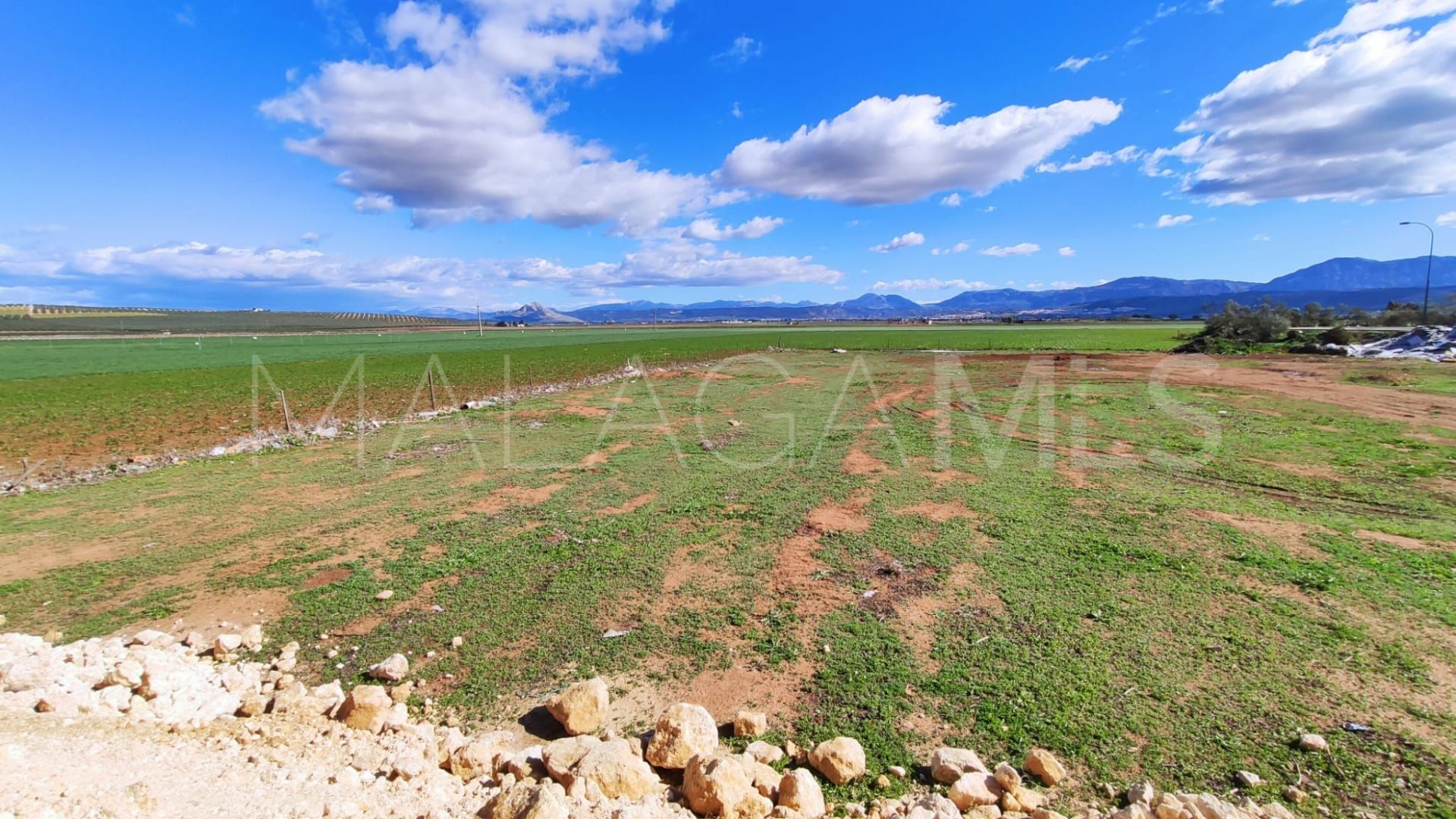 Plot for sale in Mollina