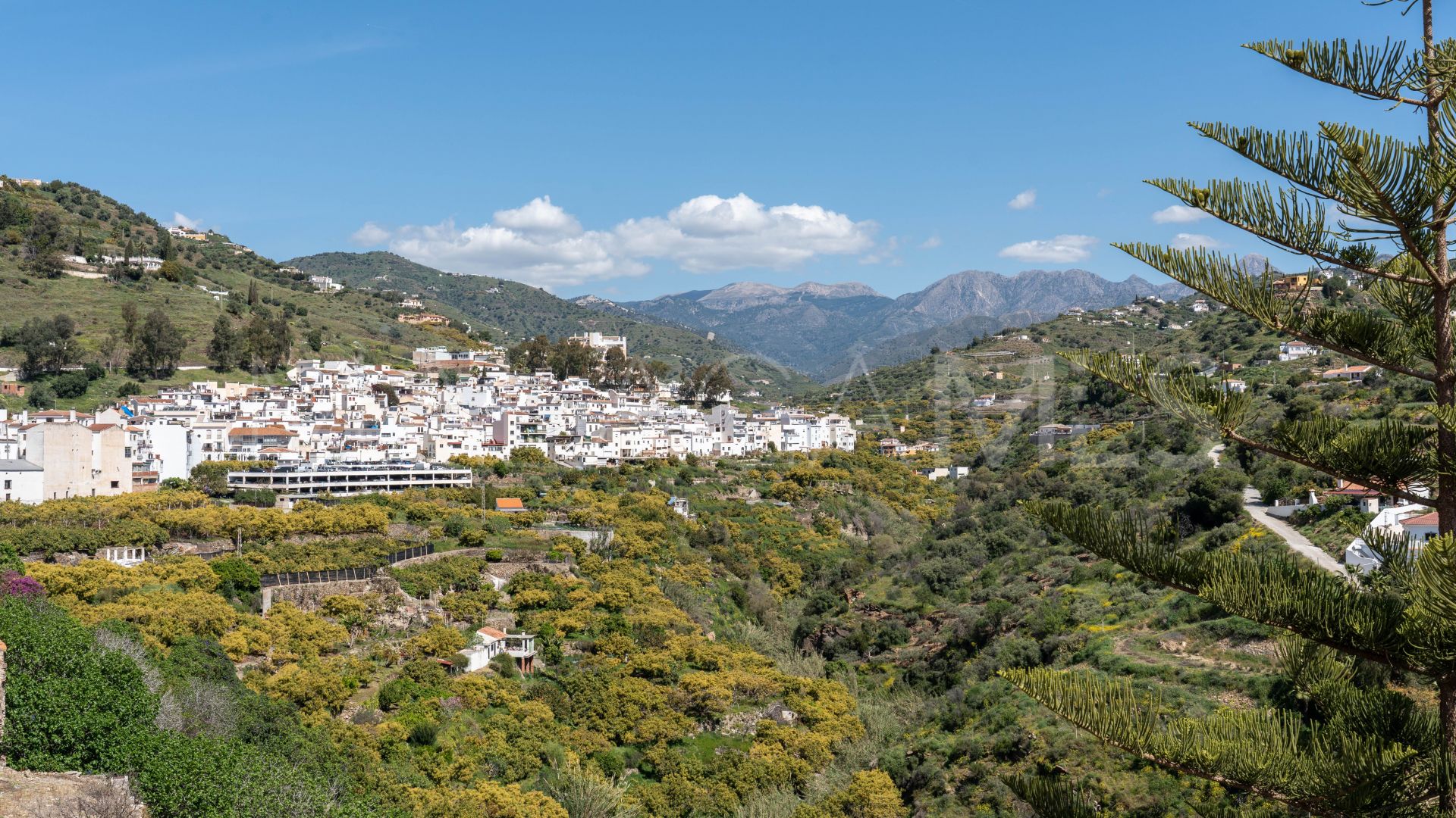 Hotel for sale in Torrox