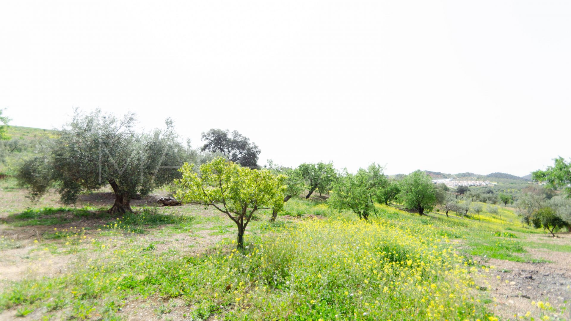 Hus i byn for sale in Malaga