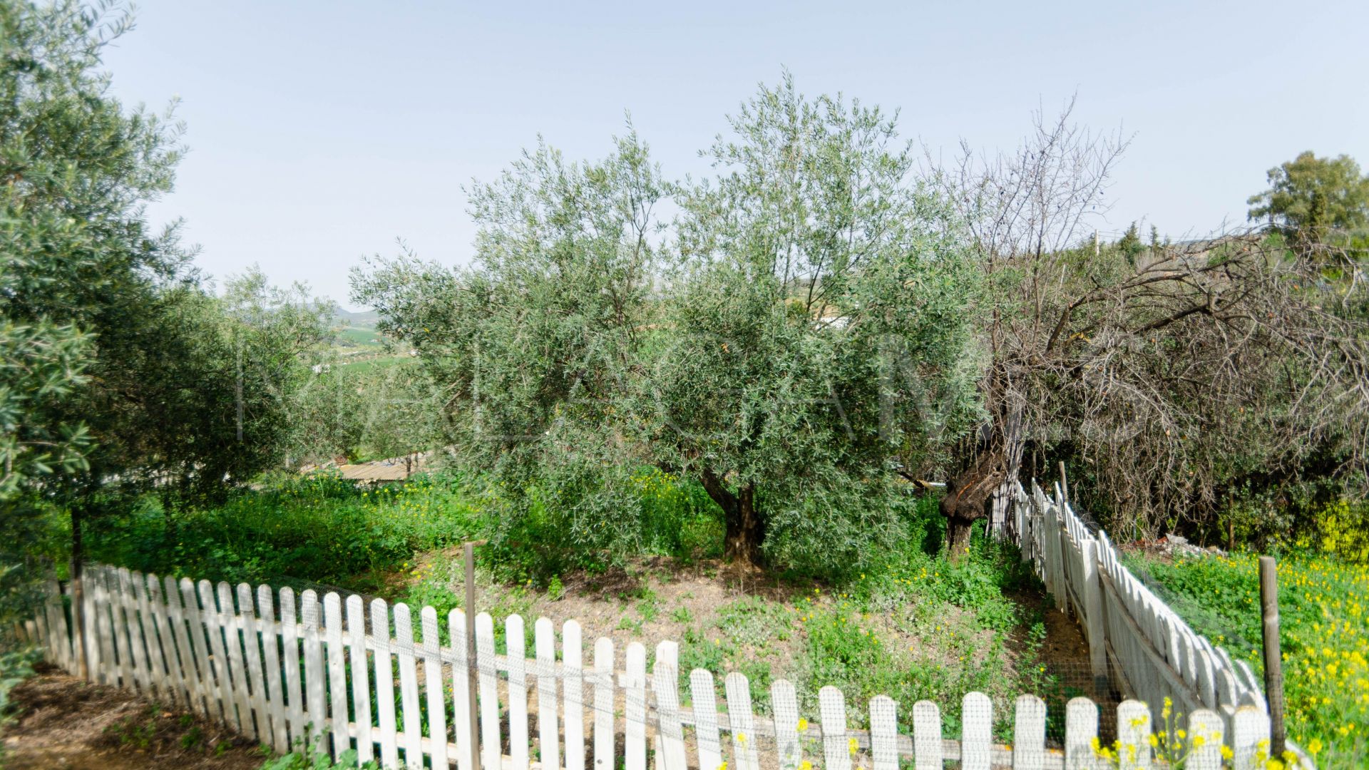 Hus i byn for sale in Malaga