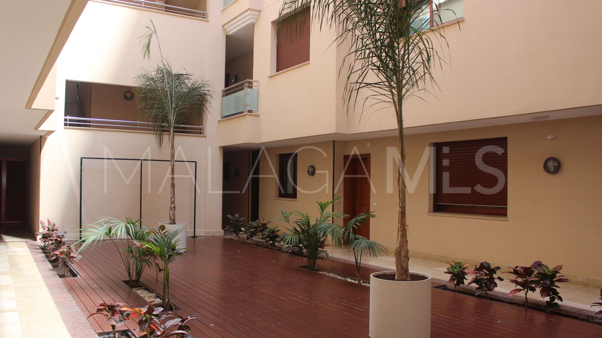 Buy apartamento in Las Petunias