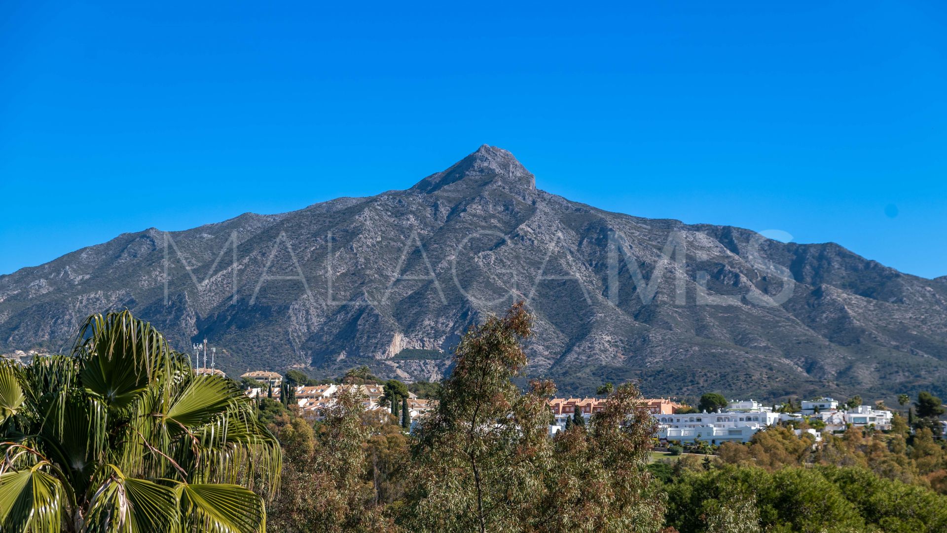 Penthaus for sale in Nueva Andalucia