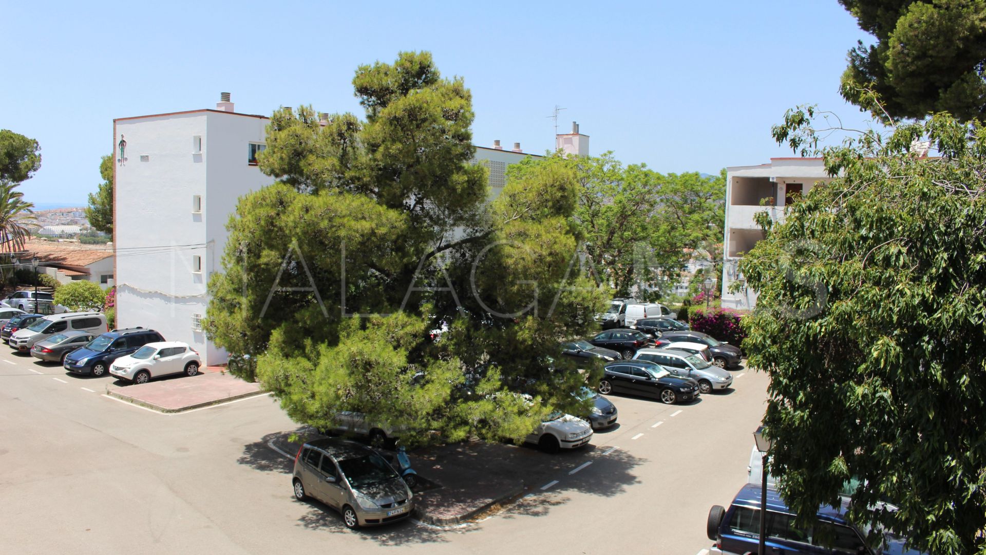 Buy estudio in Marbella Ciudad