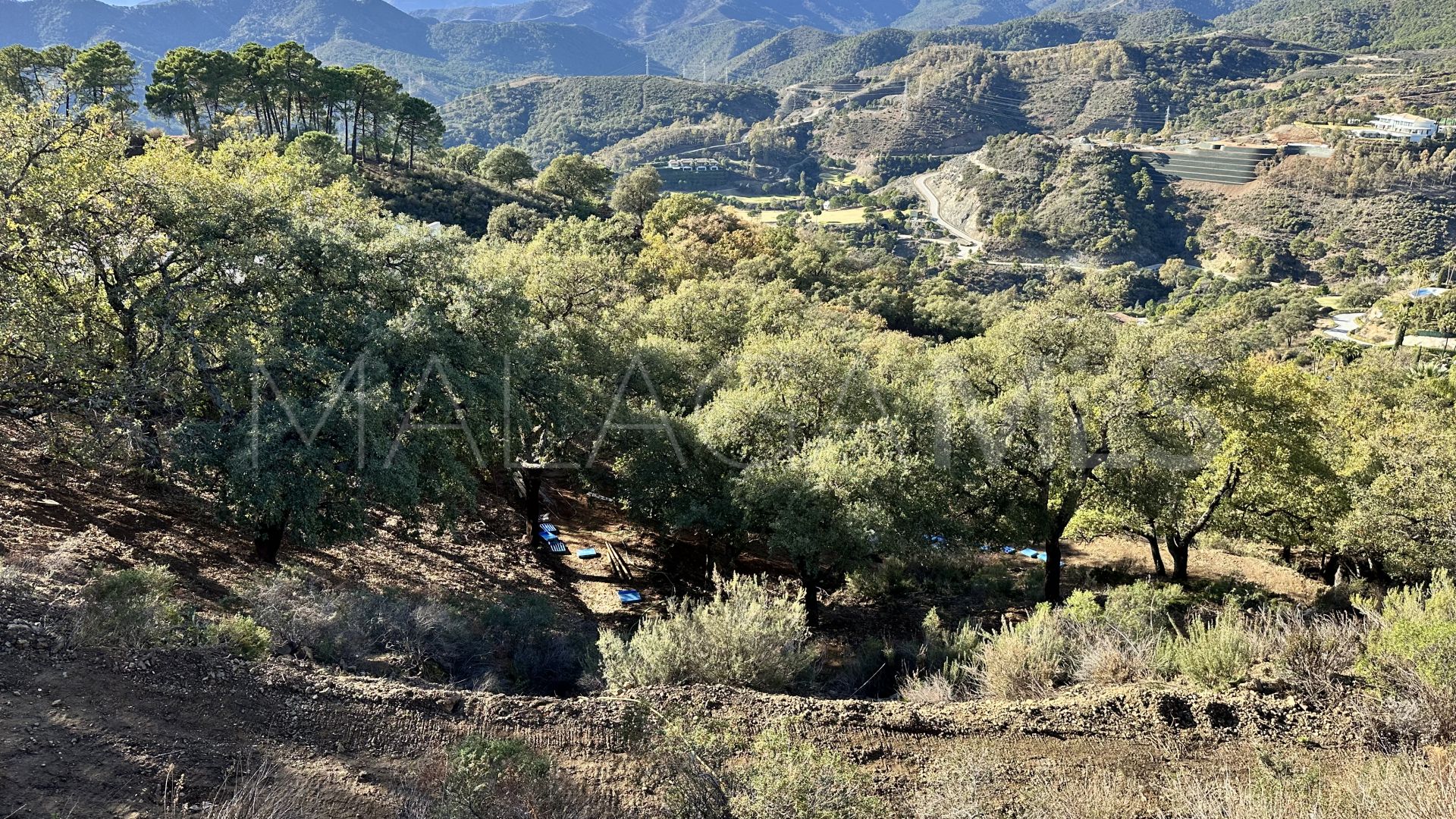 Terrain for sale in La Zagaleta