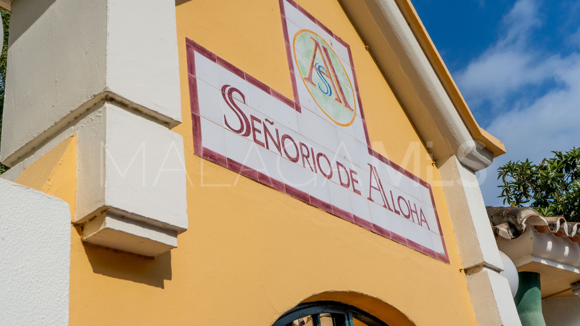 Buy apartamento in Nueva Andalucia