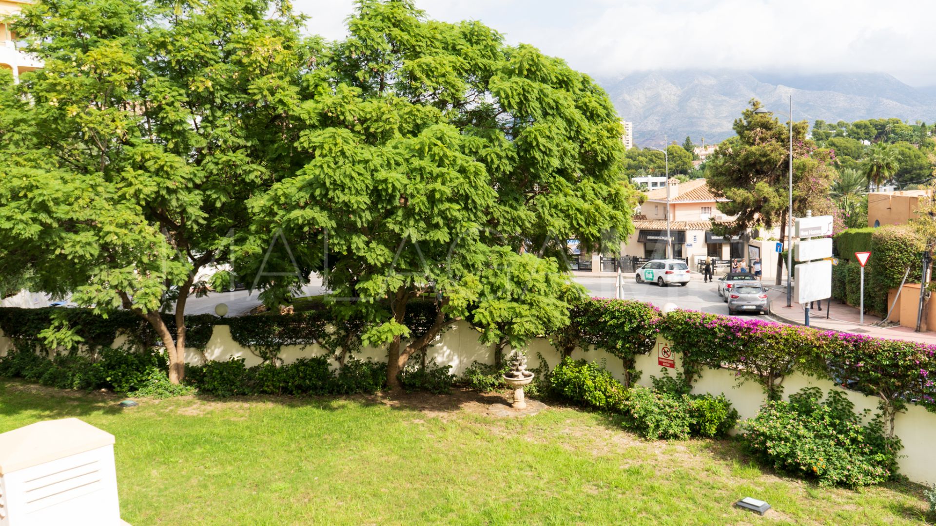 Buy apartamento in Nueva Andalucia