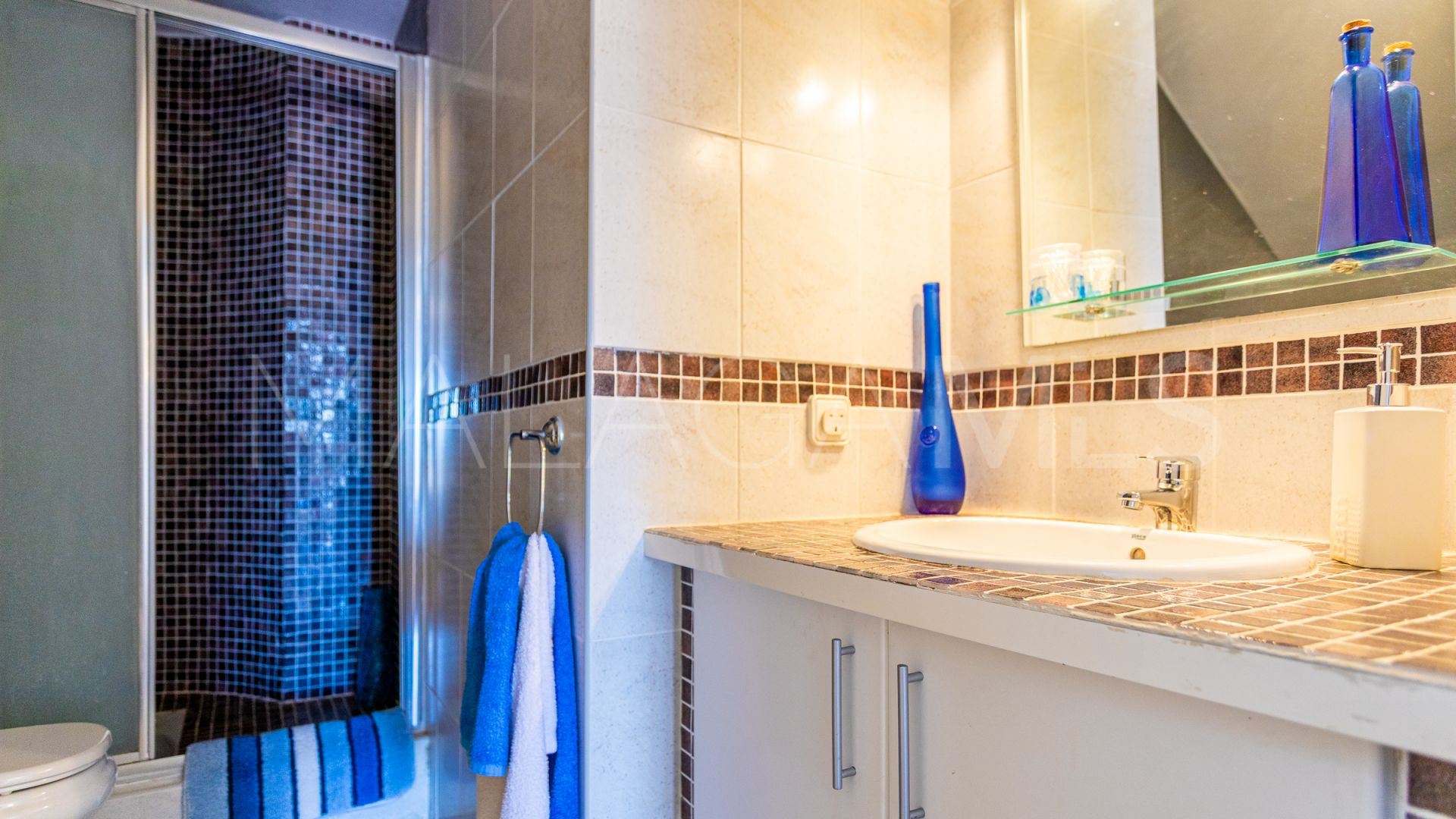 4 bedrooms Calahonda town house for sale