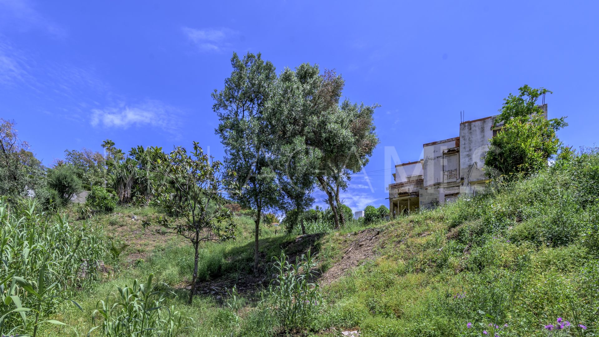 Tomt for sale in Mijas