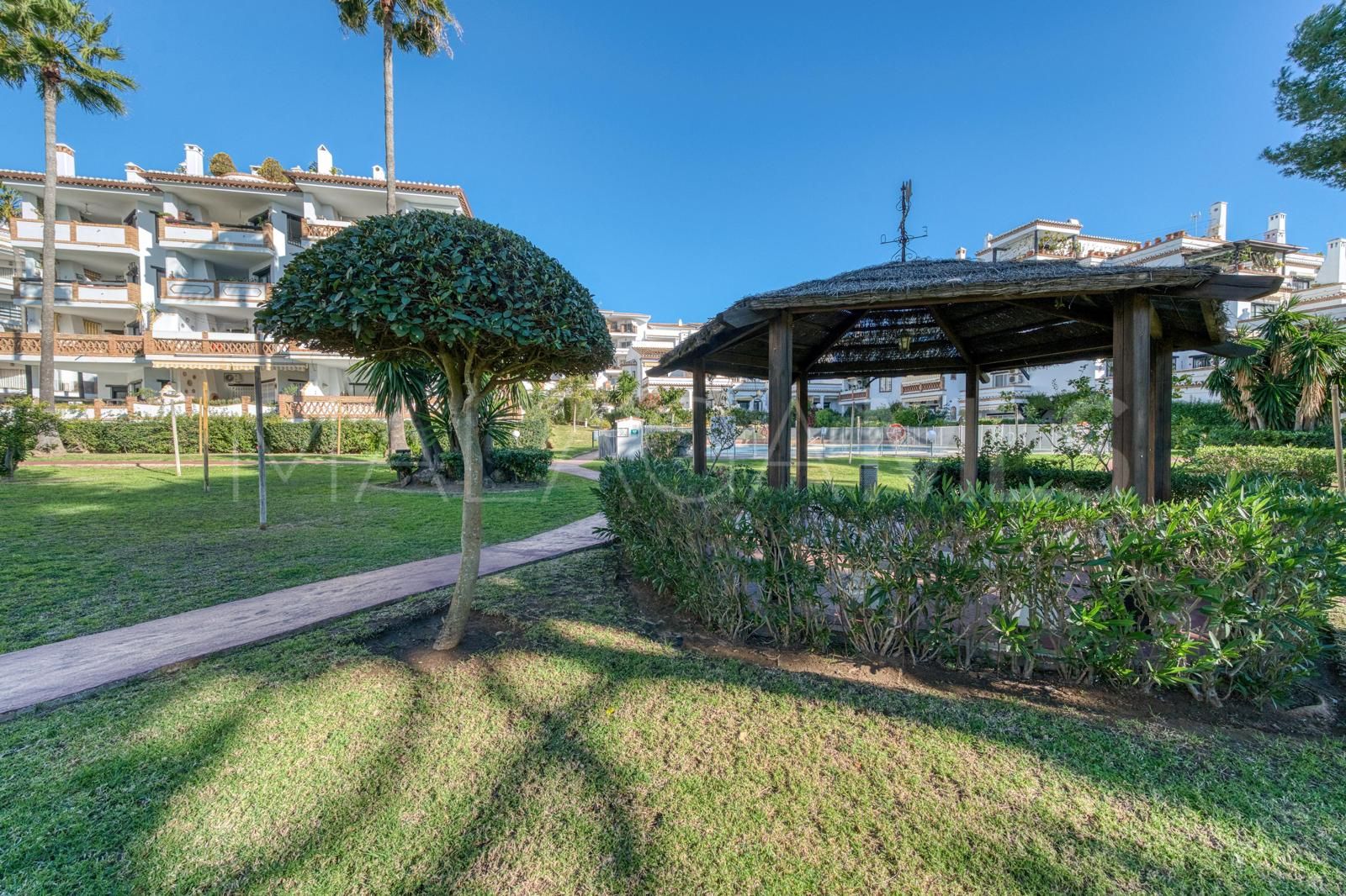 Appartement rez de chaussée for sale in Calahonda