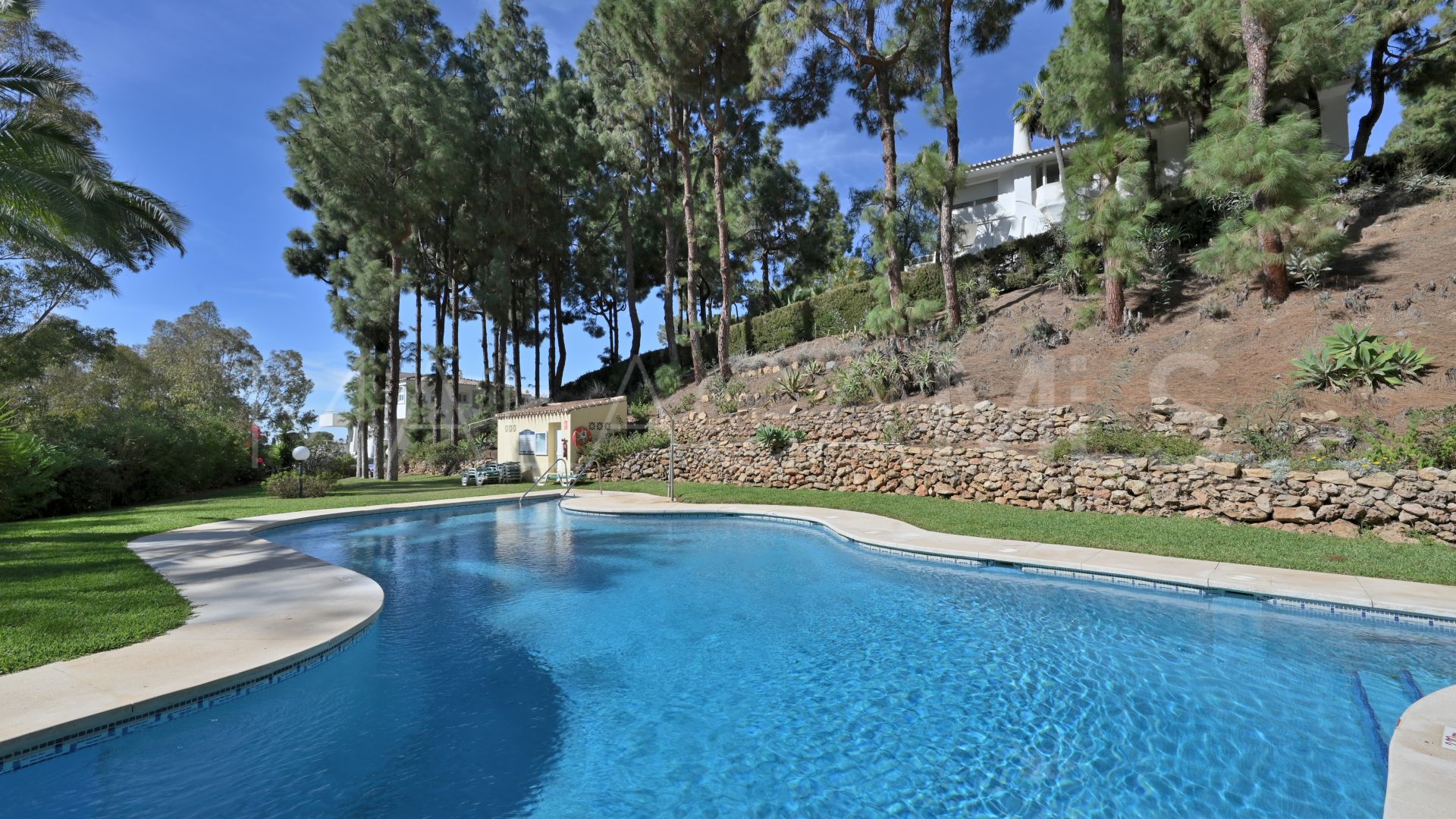 Appartement terrasse for sale in Calahonda
