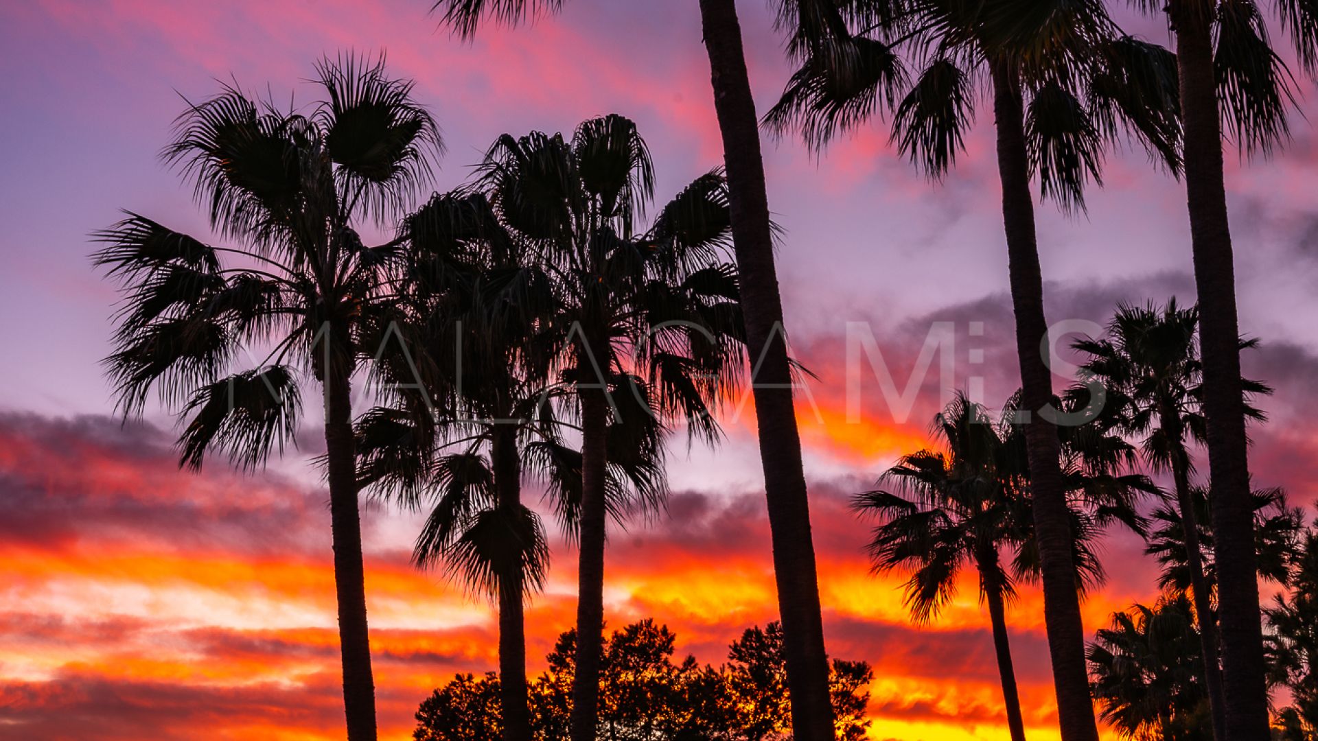 Apartamento with 2 bedrooms for sale in Punta Plata