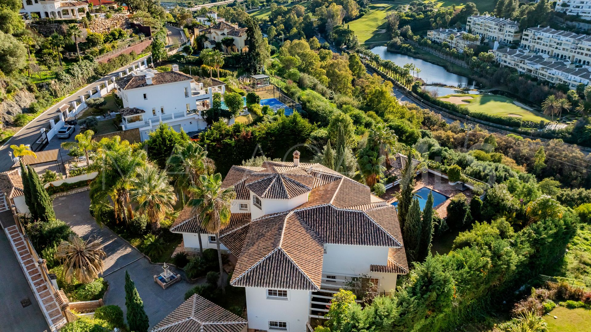 Buy villa in Nueva Andalucia