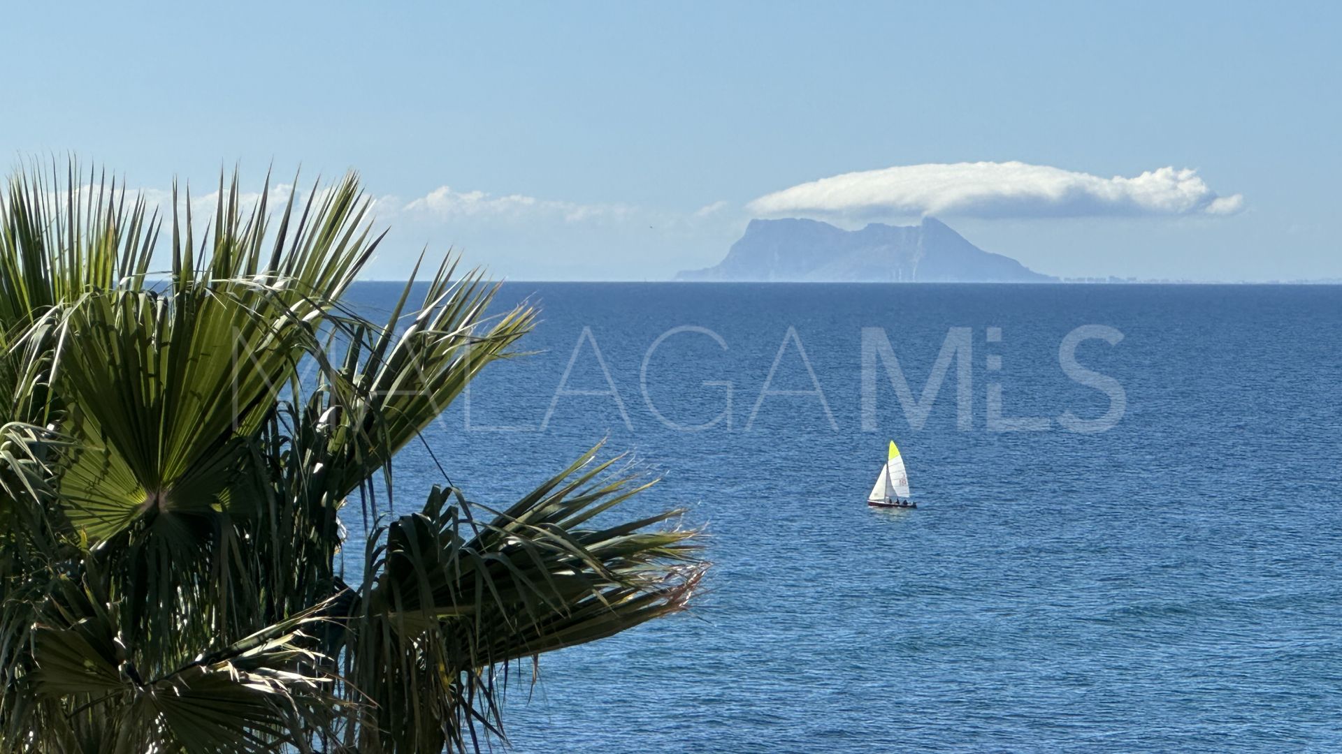 Appartement terrasse for sale in Estepona Ville