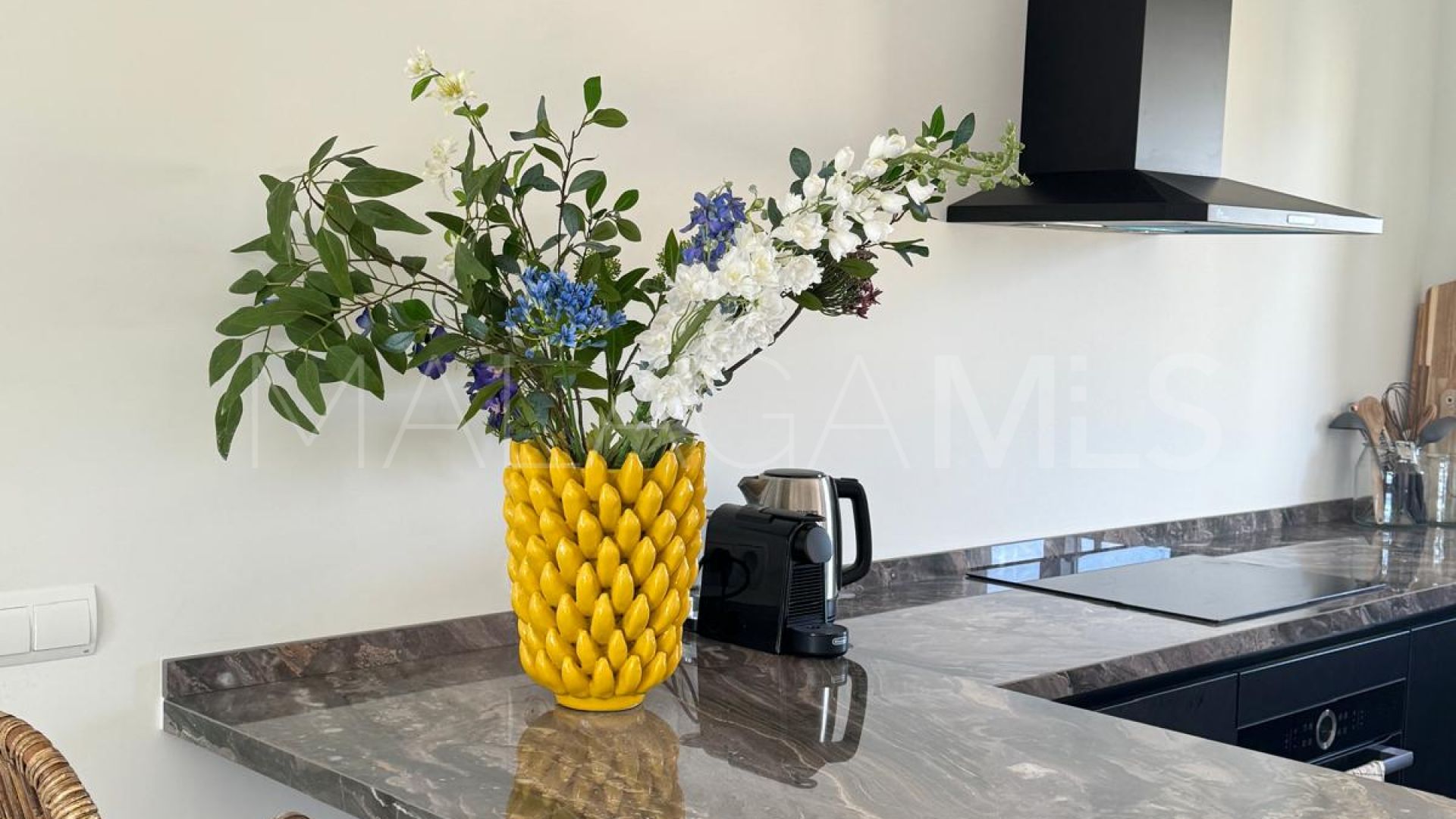 Appartement terrasse for sale in Estepona Ville