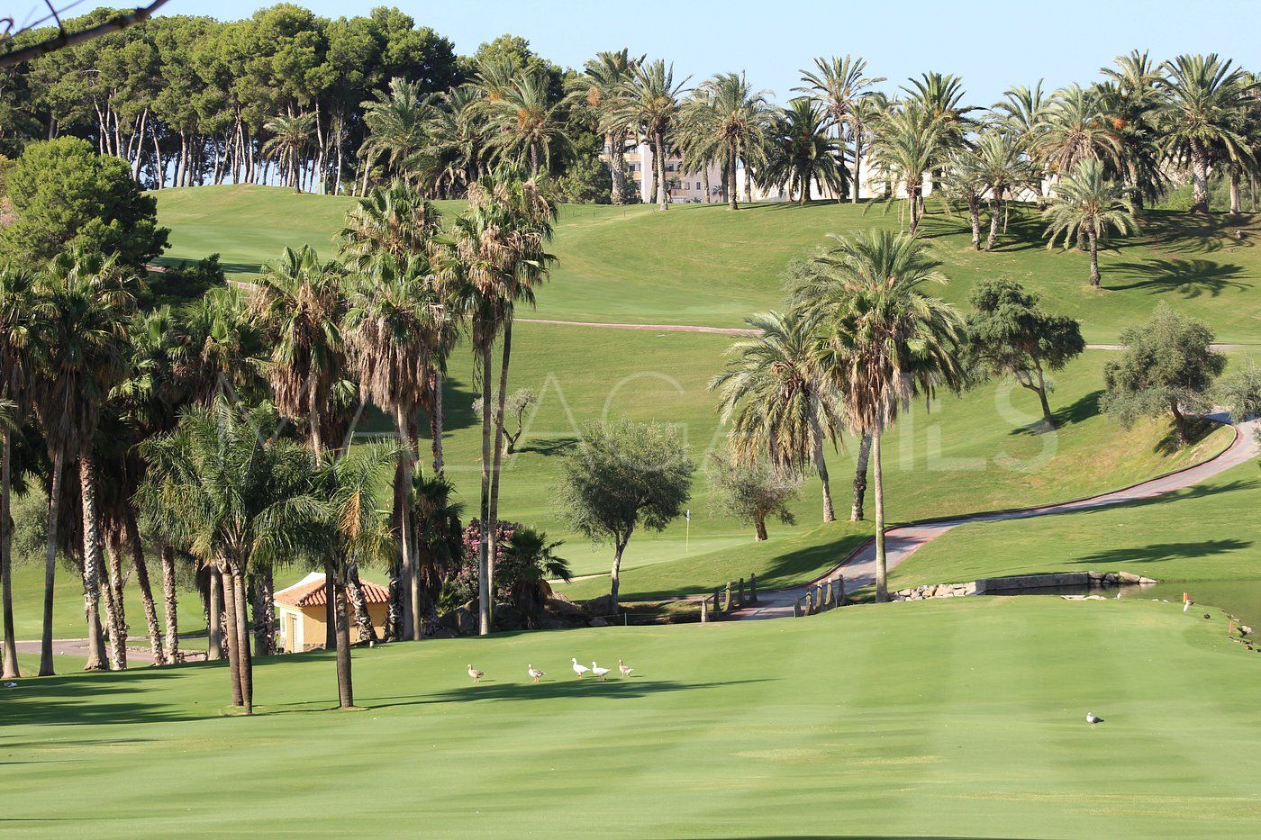Apartamento for sale with 2 bedrooms in Torrequebrada