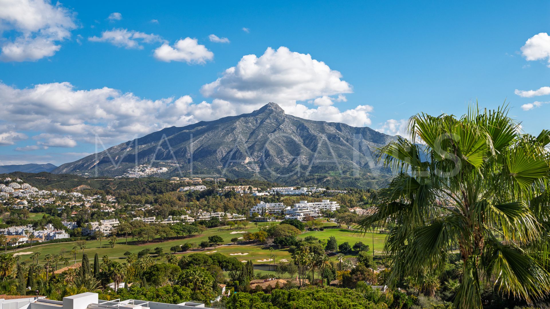 Duplex penthouse for sale in Nueva Andalucia