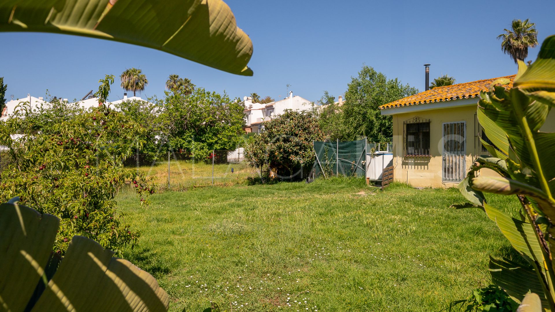 Terrain for sale in Diana Park