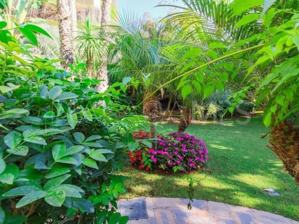 Markplanslägenhet for sale in Lomas del Rey